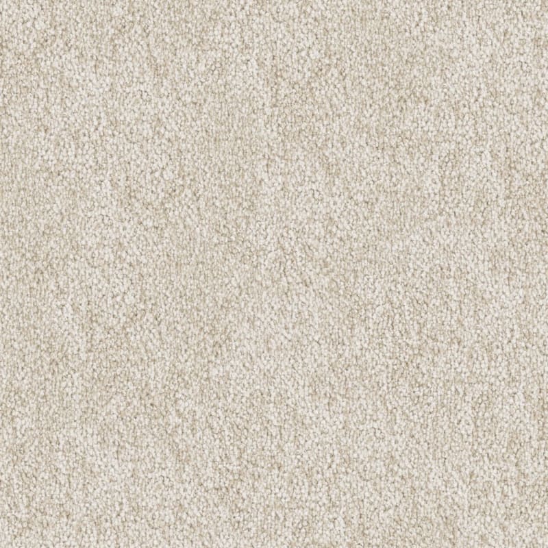 Buena Vida carpet by Masland
