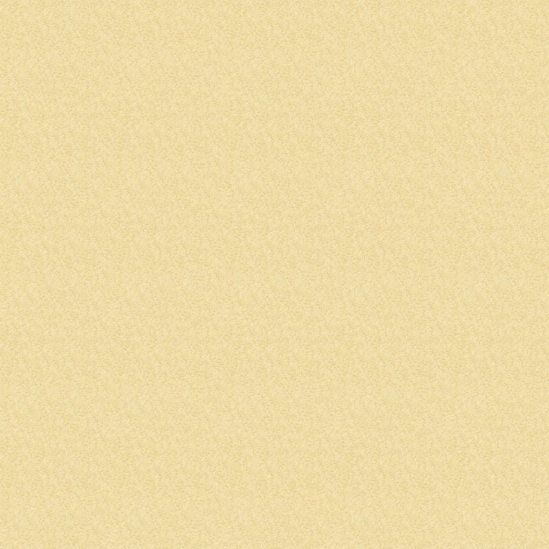 Morgan Bay carpet by Masland