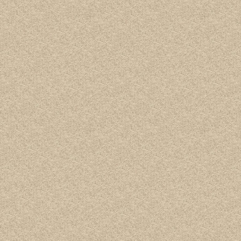 Vero Beach carpet by Masland