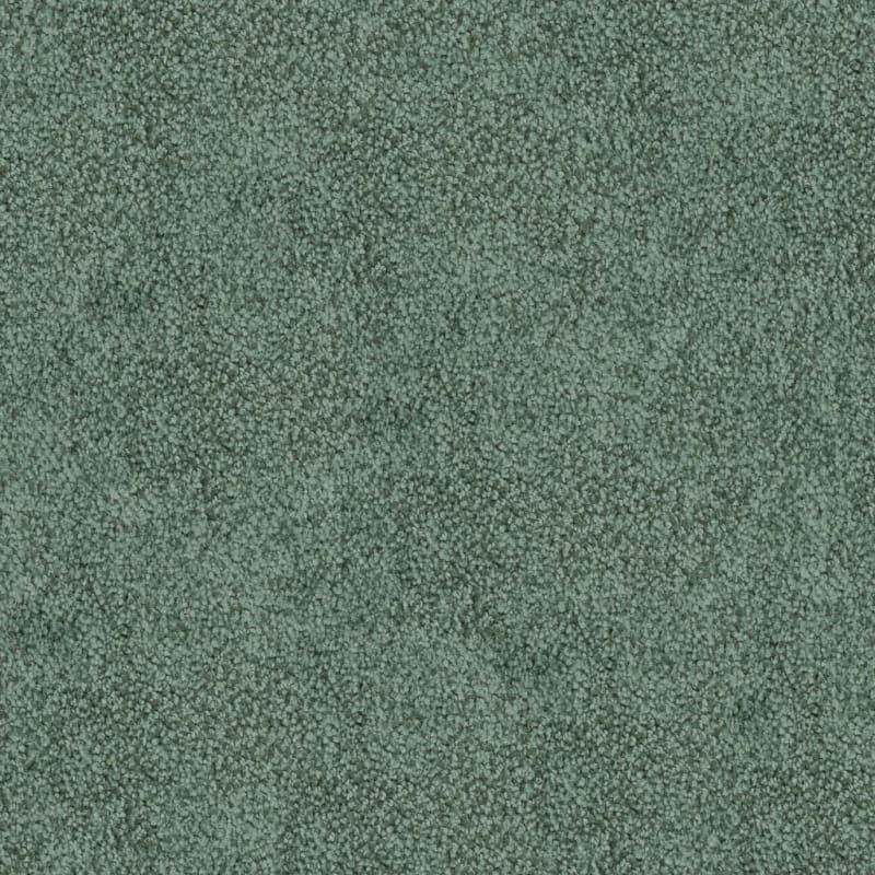 Buena Vida carpet by Masland