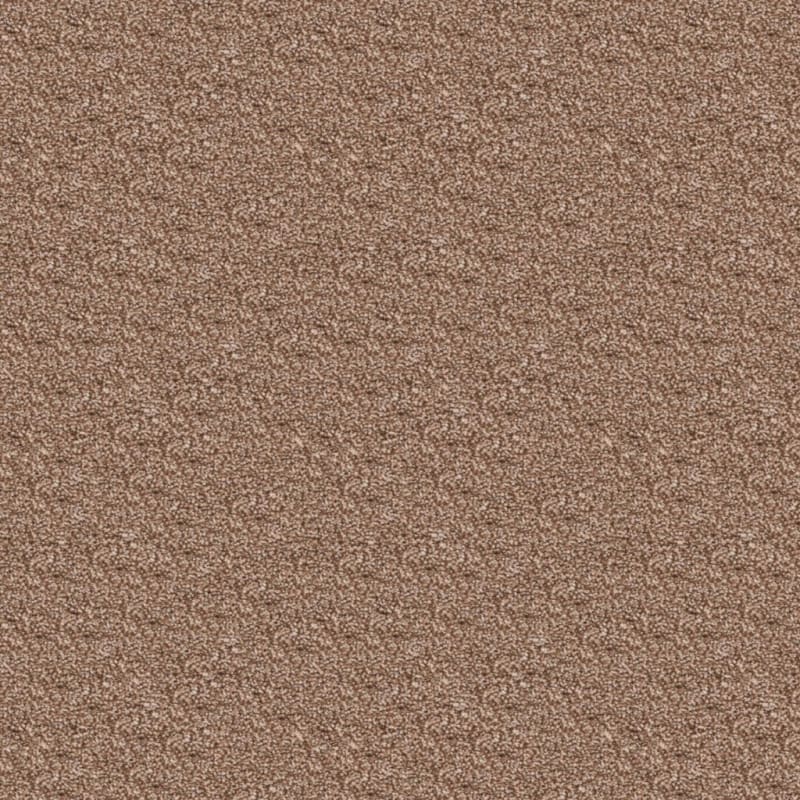 Delray carpet by Masland