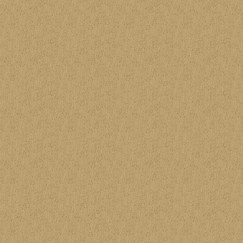 Novellino carpet by Masland