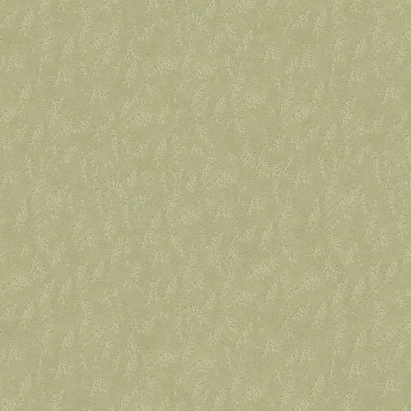 True Luxury carpet by Masland