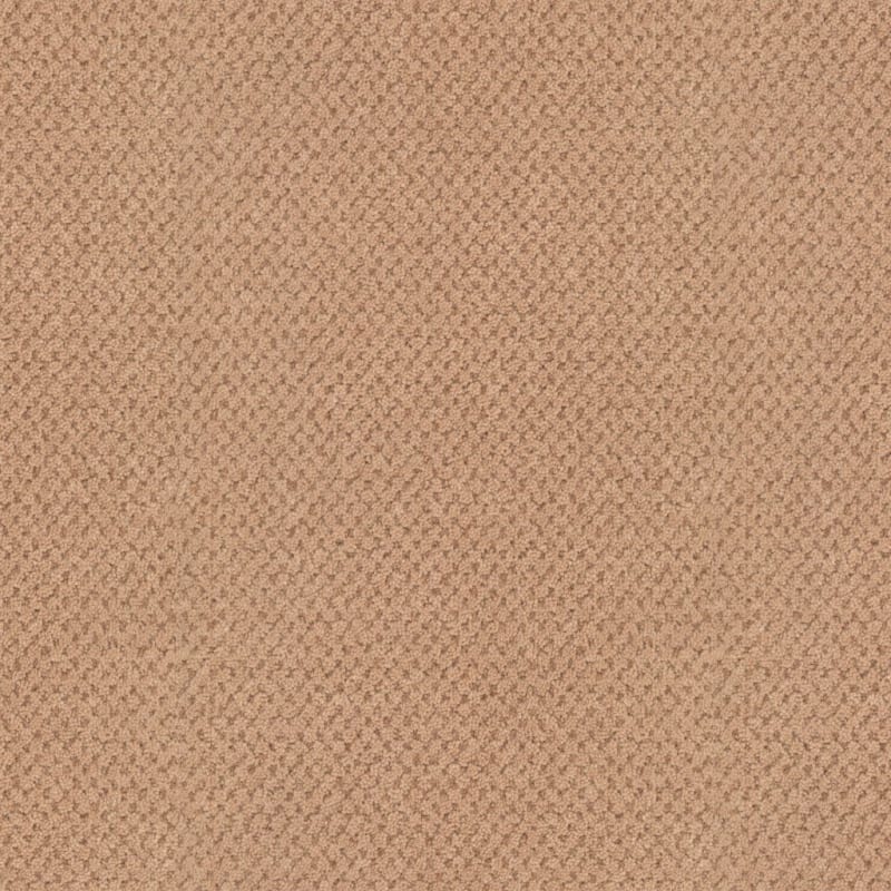 La Parade carpet by Masland