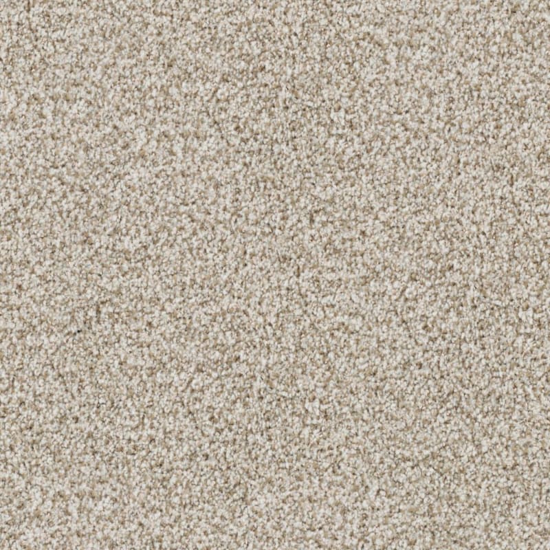 St. Augustine carpet by Masland