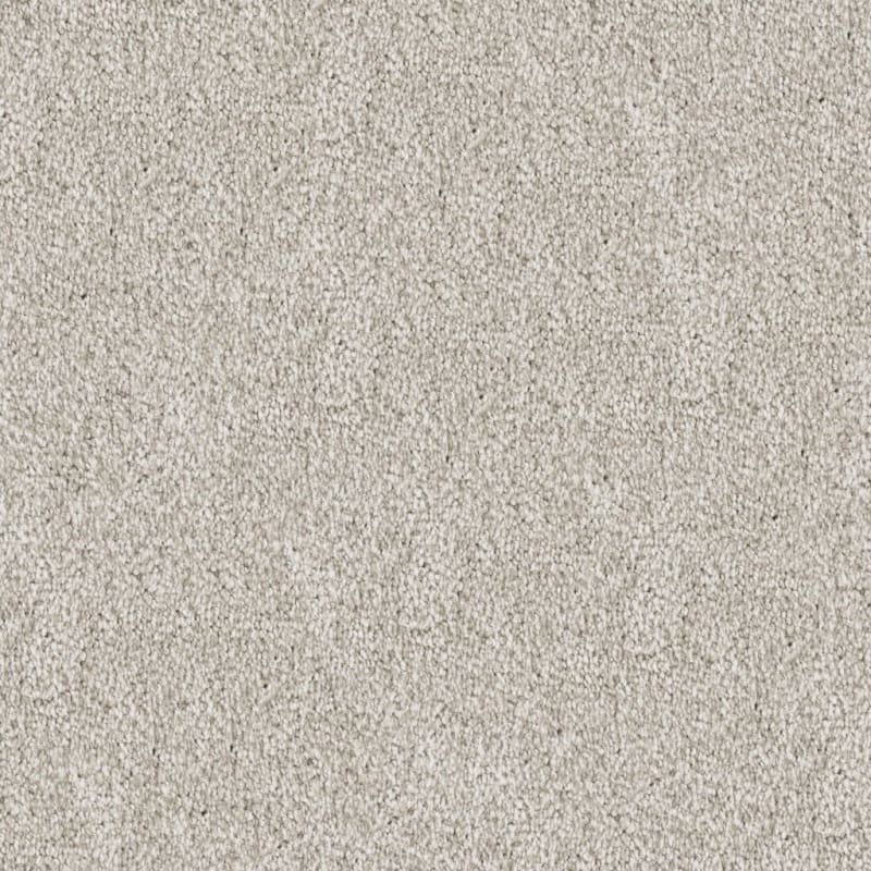 Buena Vida carpet by Masland