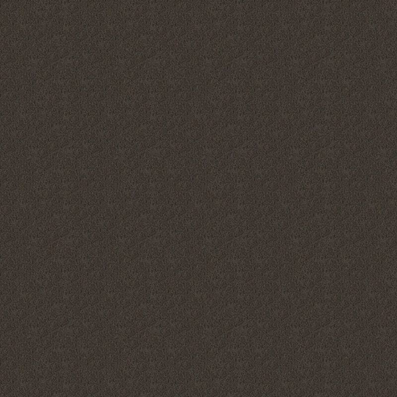 Panache carpet by Masland