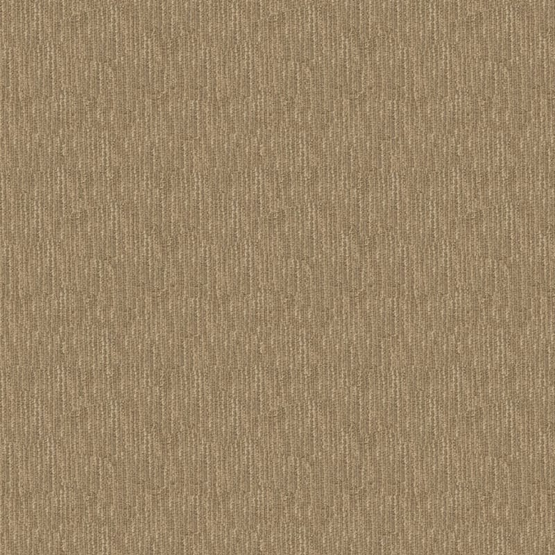 Belmond carpet by Masland