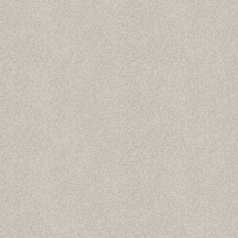 Hunter carpet by Masland