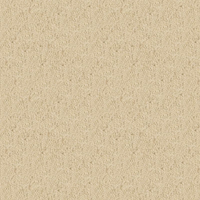 Wexford carpet by Masland