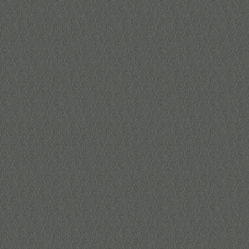 Panache carpet by Masland