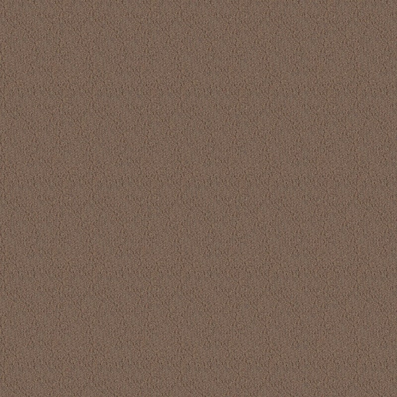 Panache carpet by Masland