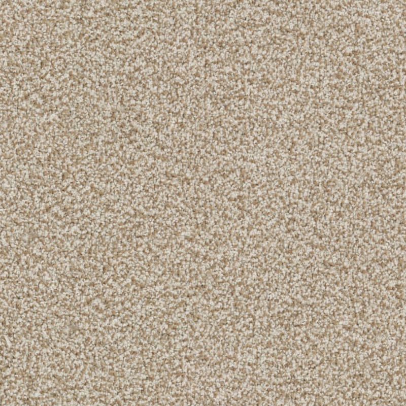 Sunset Key carpet by Masland