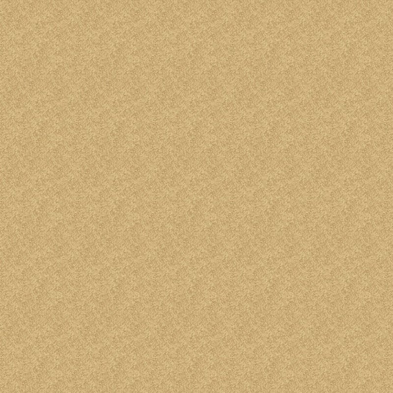 Morgan Bay carpet by Masland