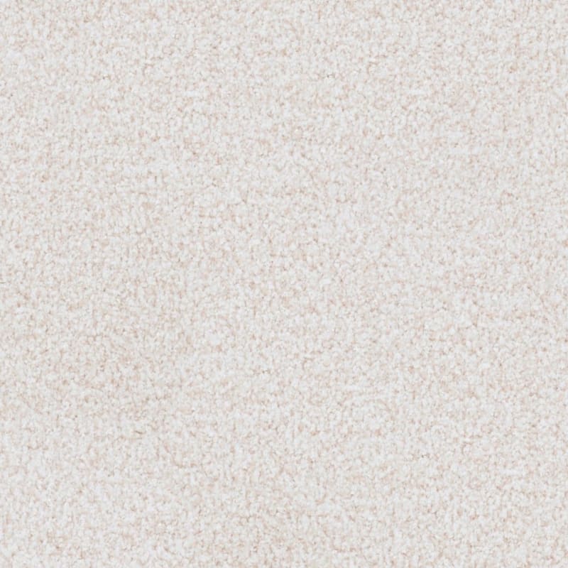 St. Augustine carpet by Masland