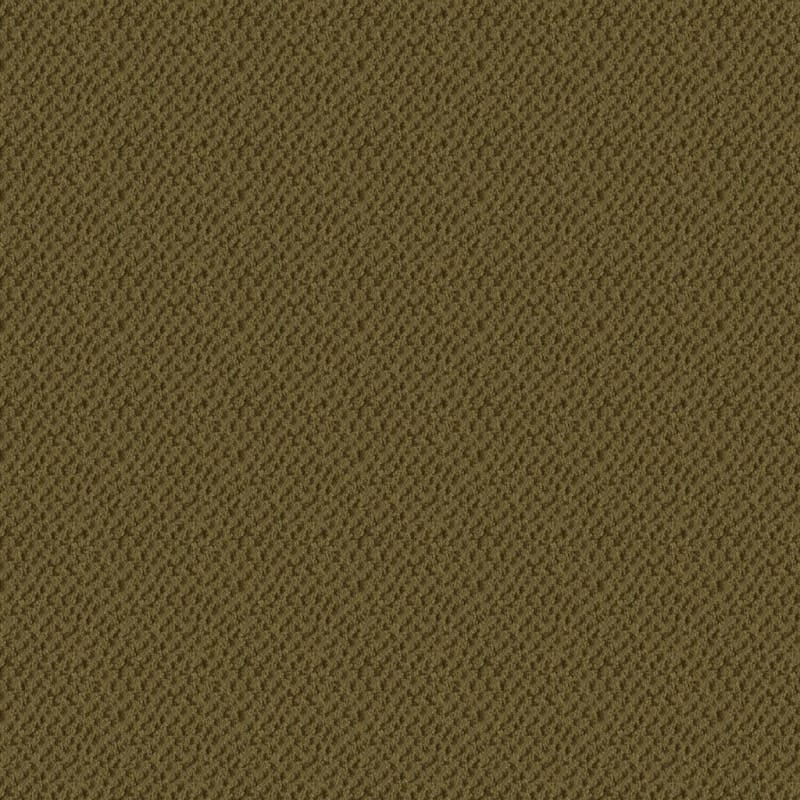 Seurat carpet by Masland
