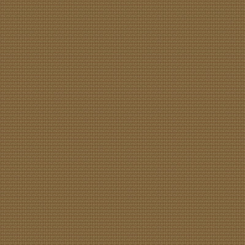 Sisaltex carpet by Masland