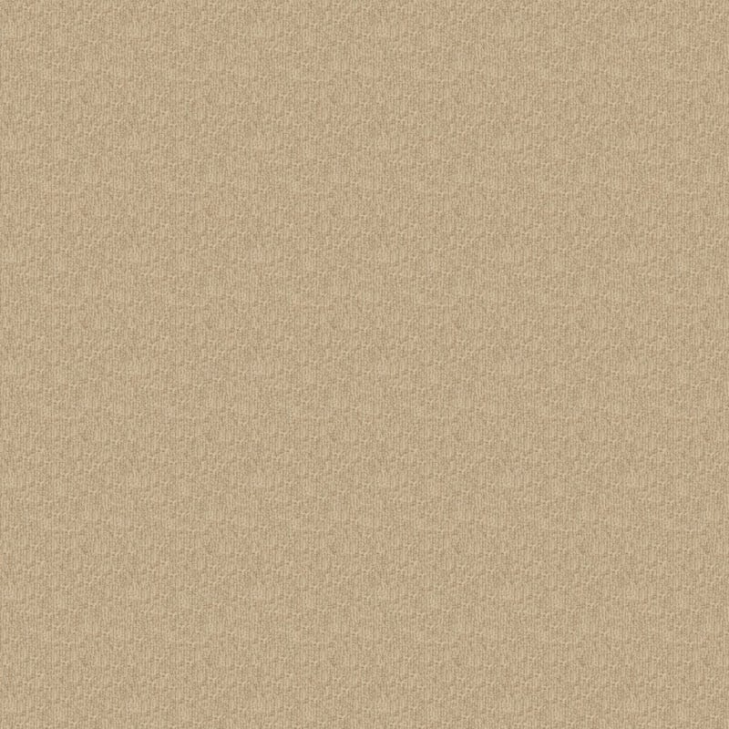 Casa Grande carpet by Masland