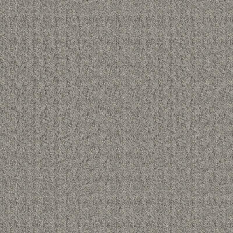 Casa Grande carpet by Masland