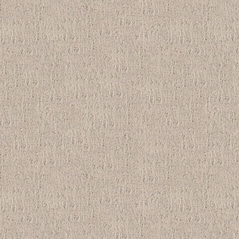Santa Barbara carpet by Masland