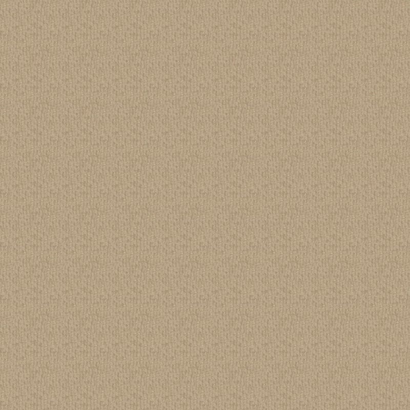 Pinehurst carpet by Masland