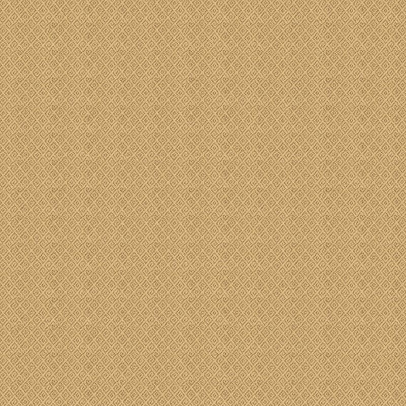Marquis carpet by Masland