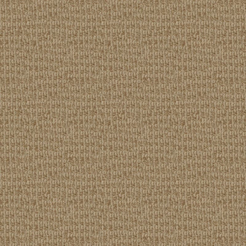 Hudson Valley carpet by Masland