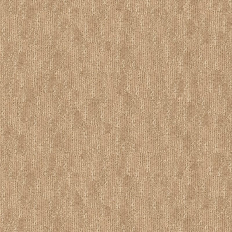 Belmond carpet by Masland