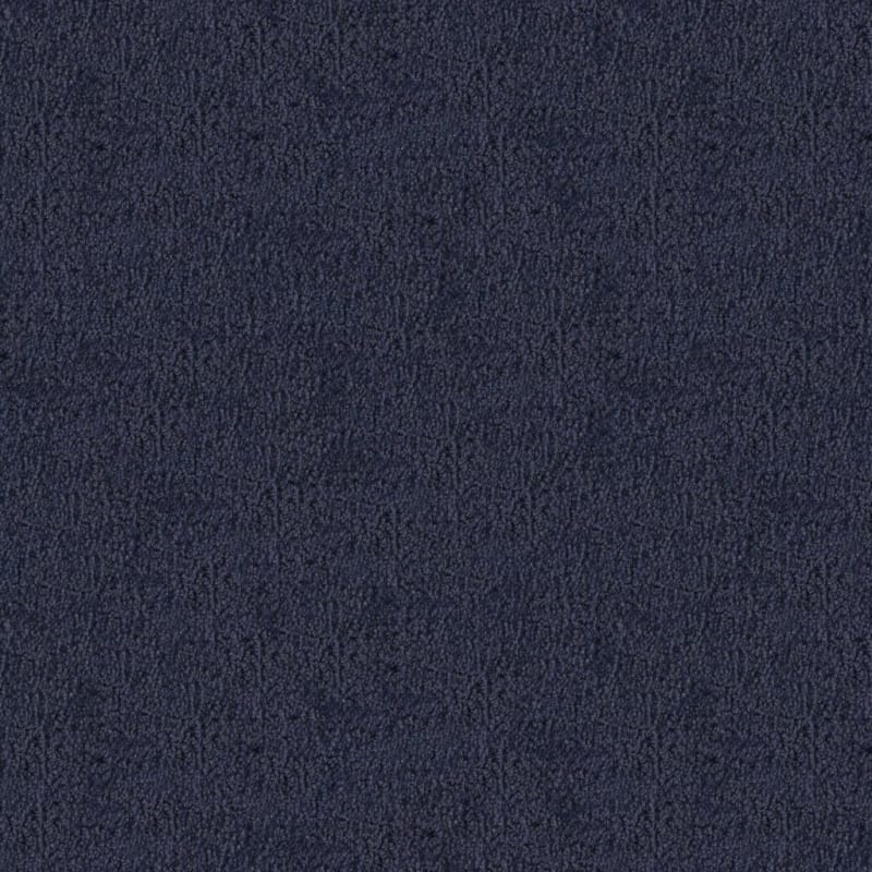 Santa Barbara carpet by Masland