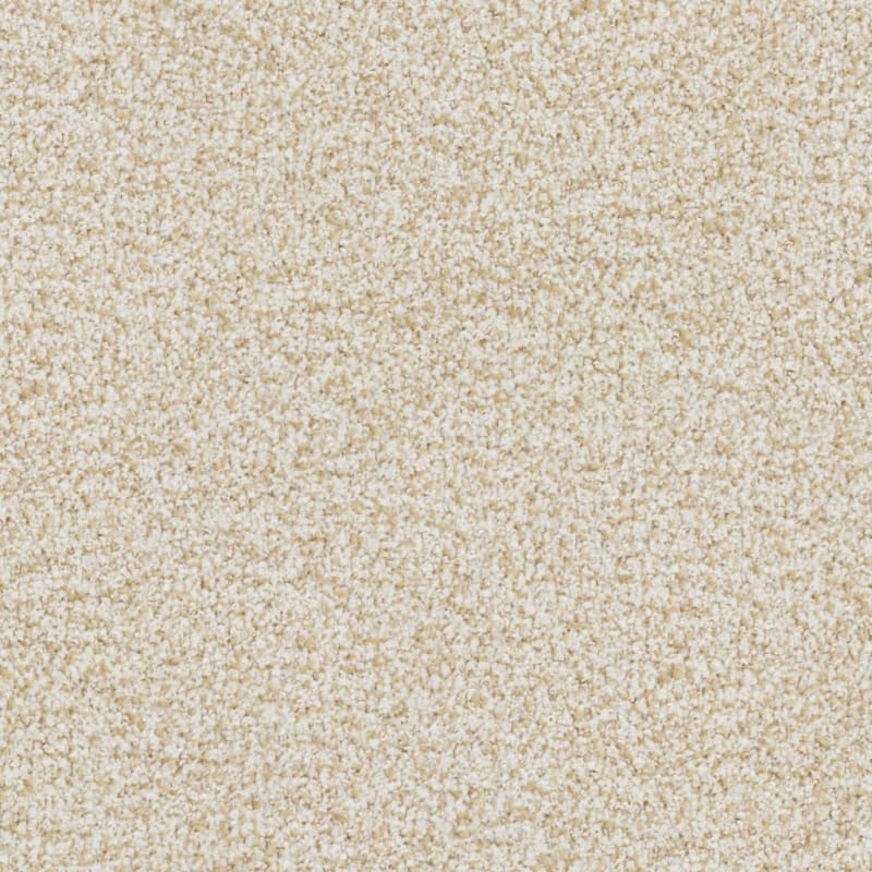 St. Augustine carpet by Masland