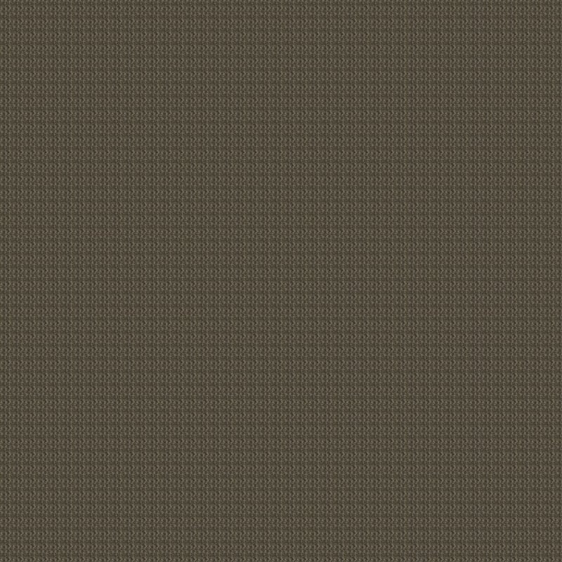 Sisaltex carpet by Masland