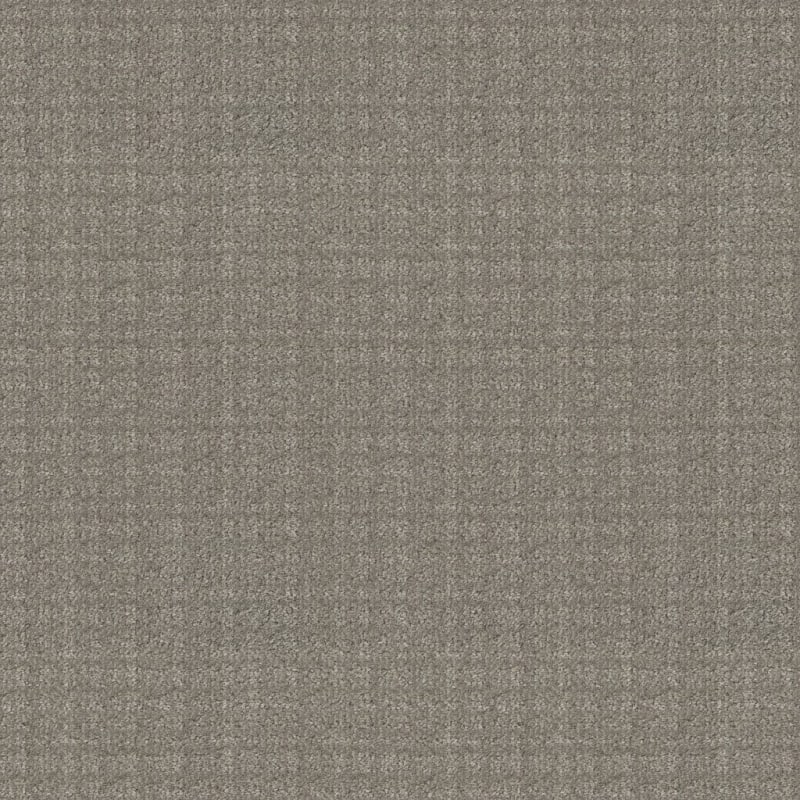 Purebred carpet by Masland