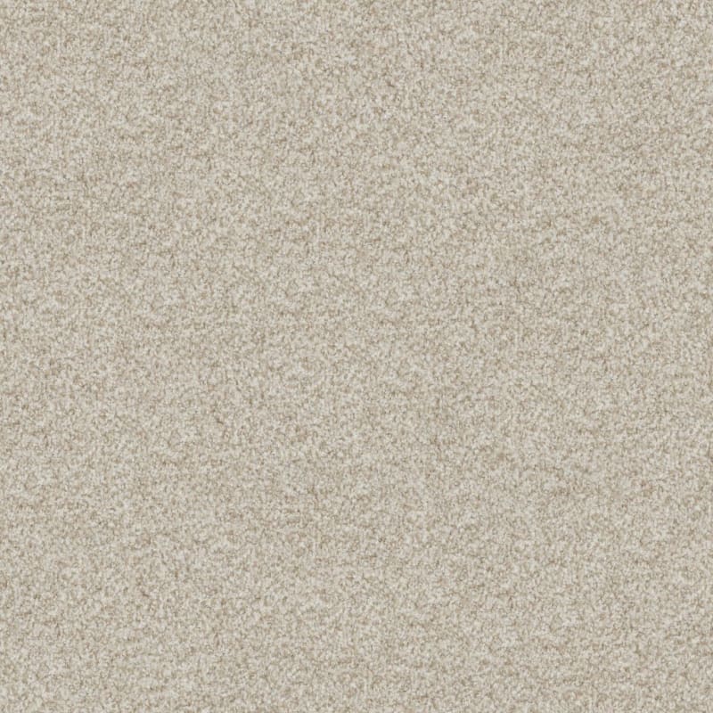 Boca Raton carpet by Masland