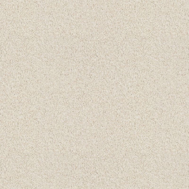Santa Rosa carpet by Masland