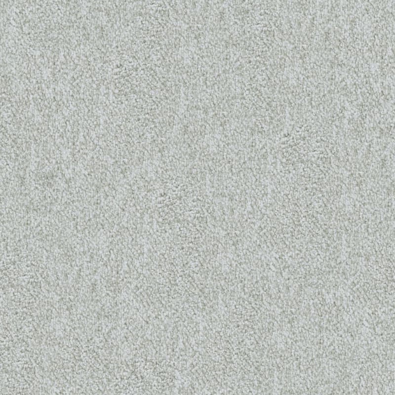 Buena Vida carpet by Masland