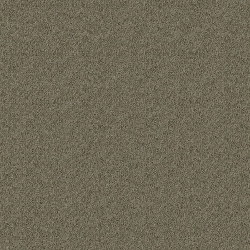 Panache carpet by Masland