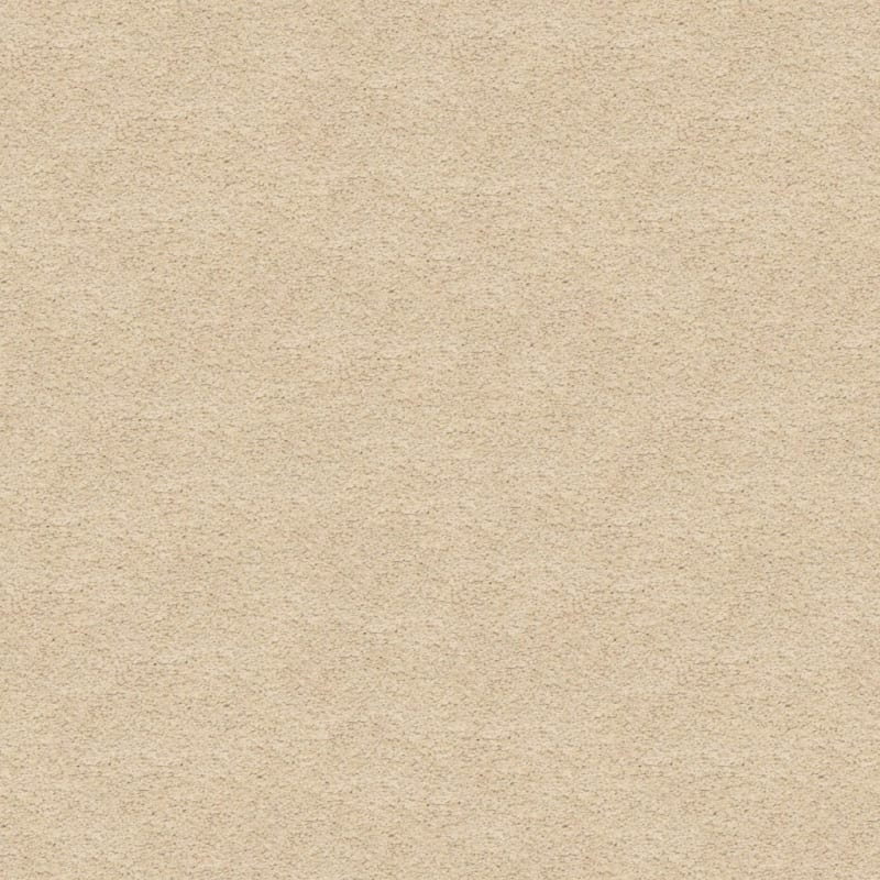 Knockout carpet by Masland