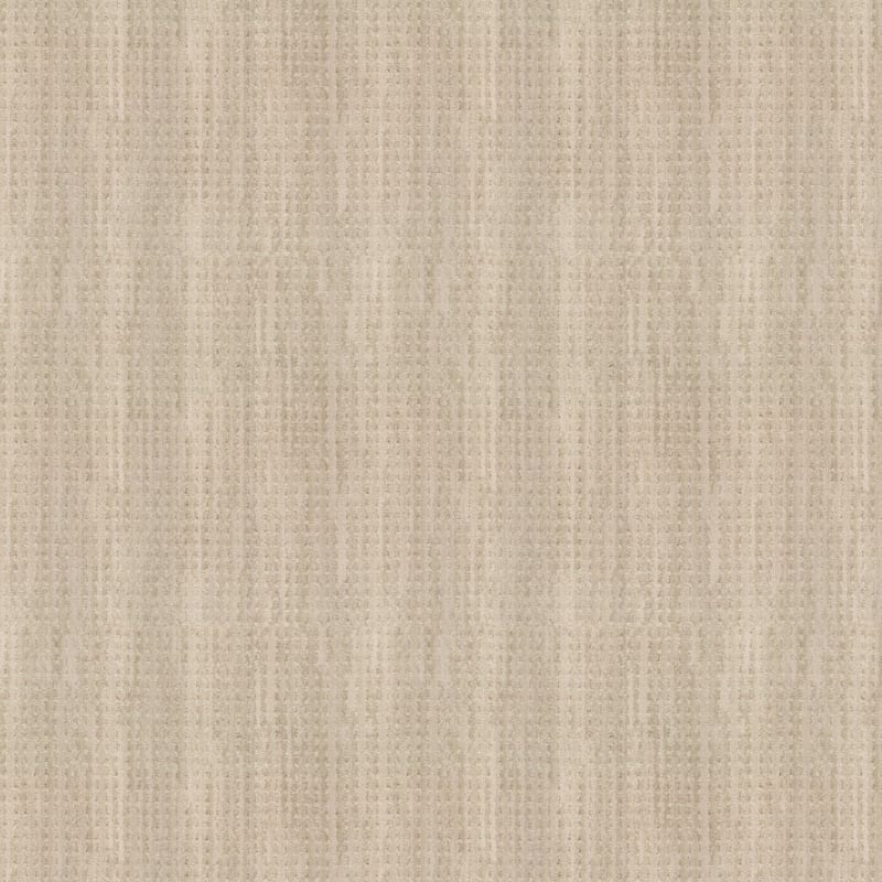 Imagine carpet by Masland
