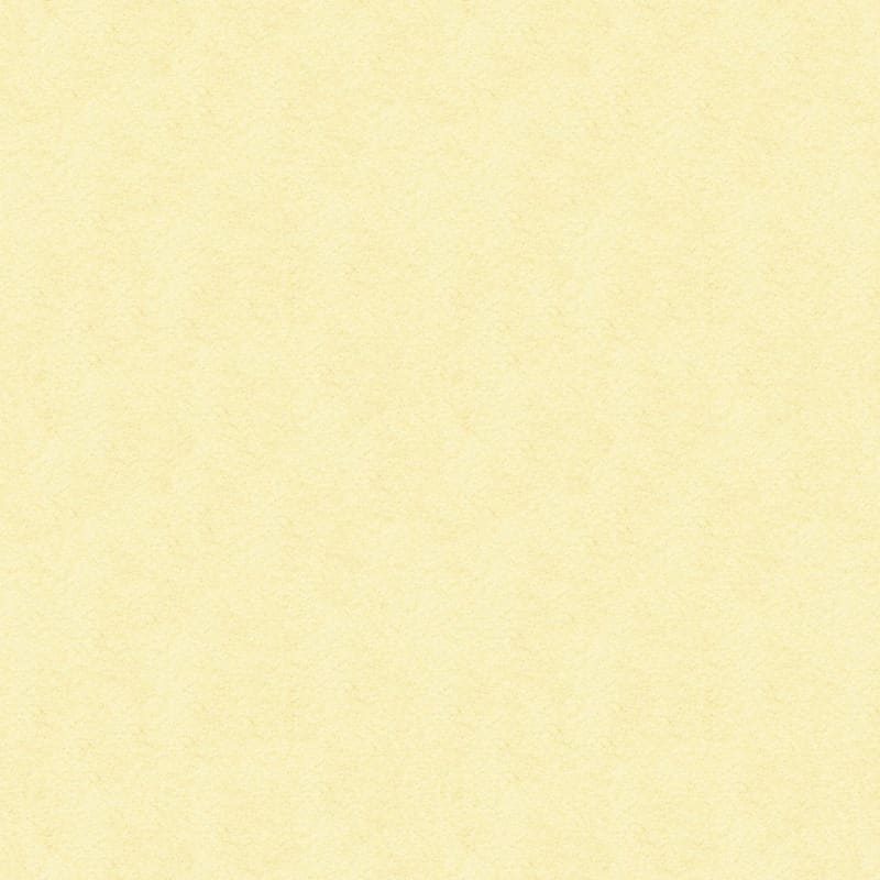 Vero Beach carpet by Masland