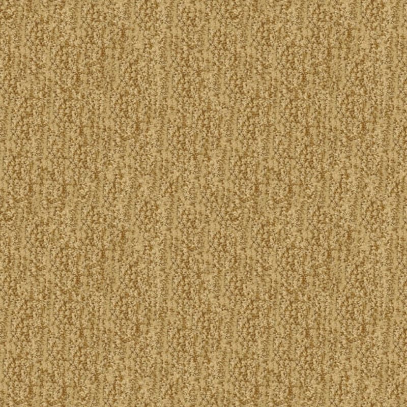 Mesa Verde carpet by Masland