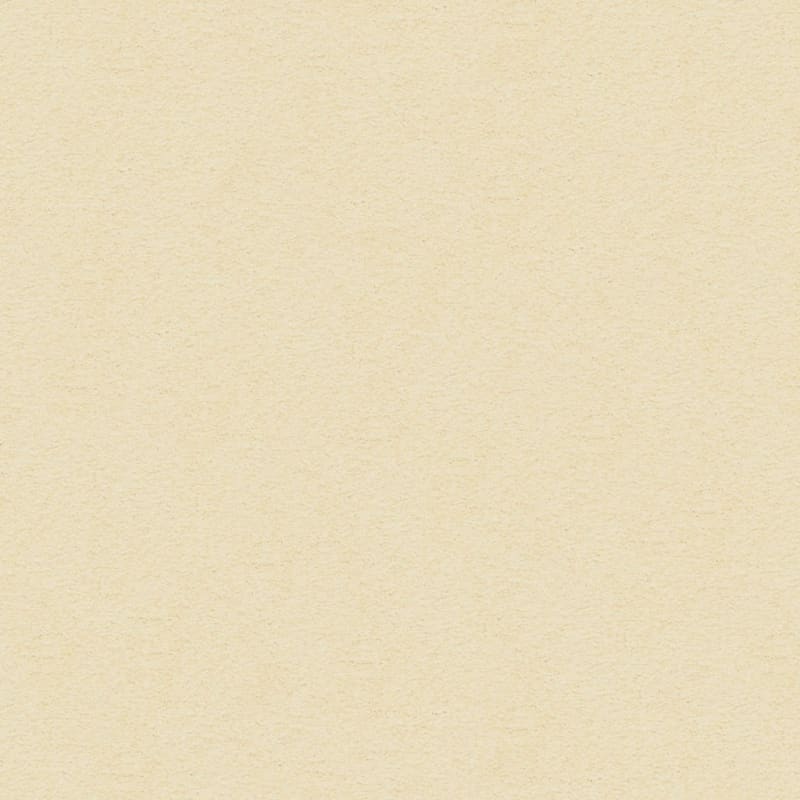 Knockout carpet by Masland