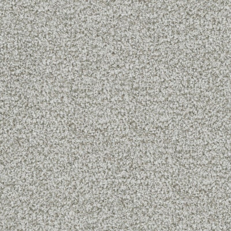 St. Augustine carpet by Masland