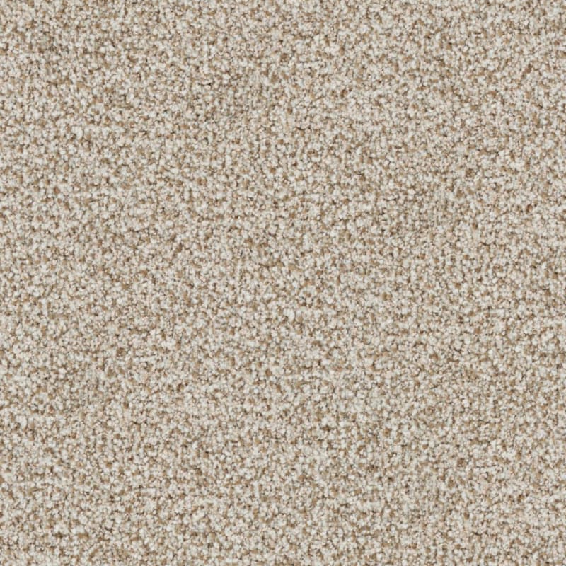 St. Augustine carpet by Masland