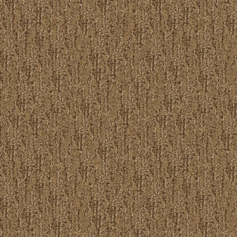 Mesa Verde carpet by Masland