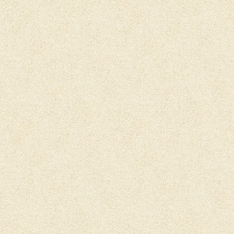 Vero Beach carpet by Masland