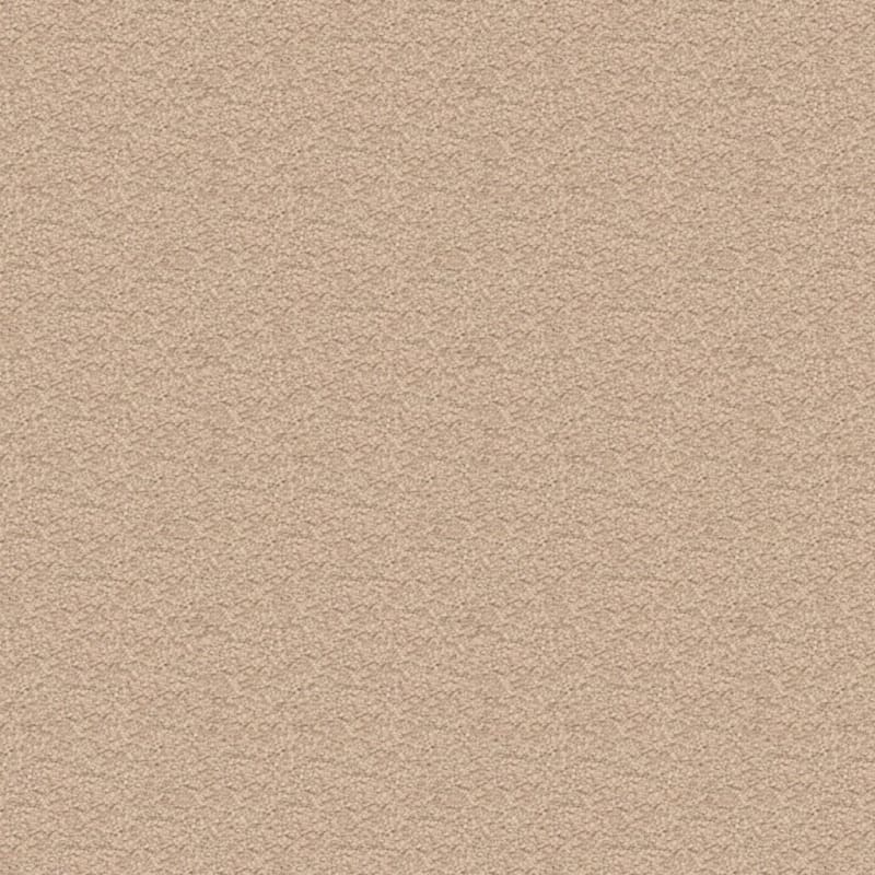 Ravishing carpet by Masland