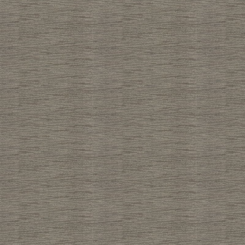 Vivacity carpet by Masland
