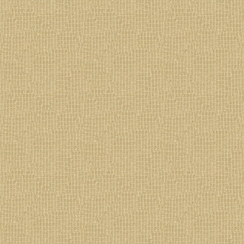 Bungalow carpet by Masland