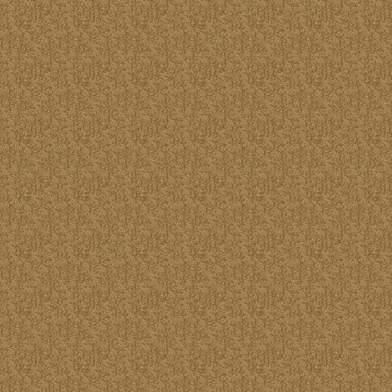 Morgan Bay carpet by Masland
