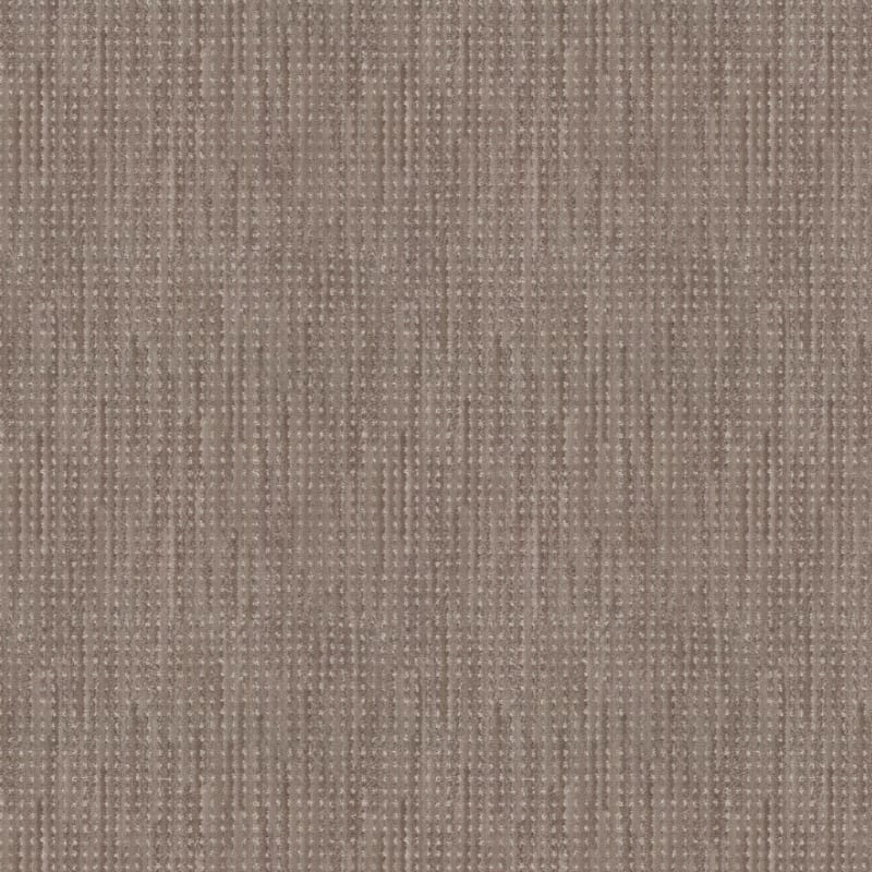 Imagine carpet by Masland